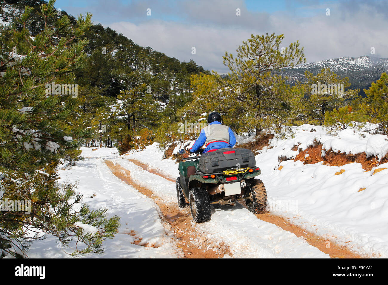 Quad riding in the forest at winter, with snow Stock Photo