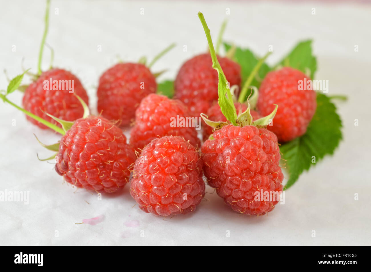 Fresh raspberry fruit on white background Stock Photo