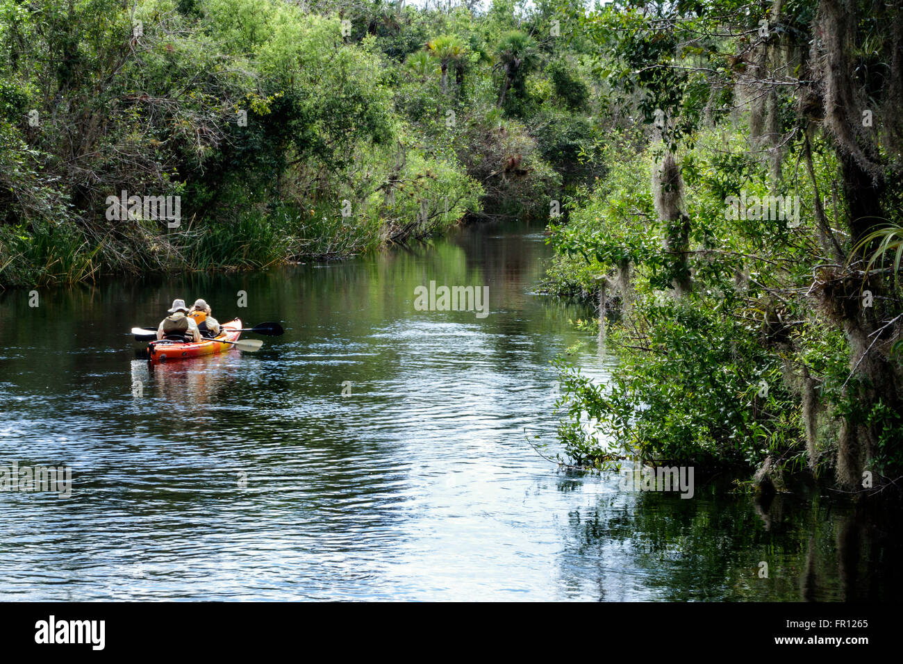 Florida Everglades,Big Cypress National Preserve Park,canoe,paddling,adult,adults,man men male,woman female women,couple,boat,water,natural scenery,FL Stock Photo