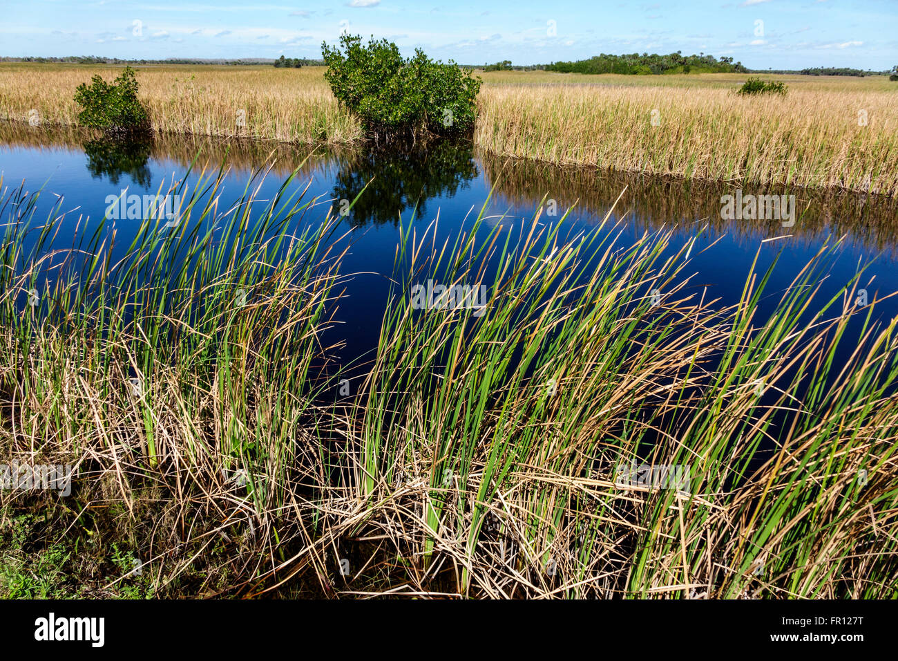 Florida,South,FL,Everglades,Ochopee,Tamiami Trail,Big Cypress National