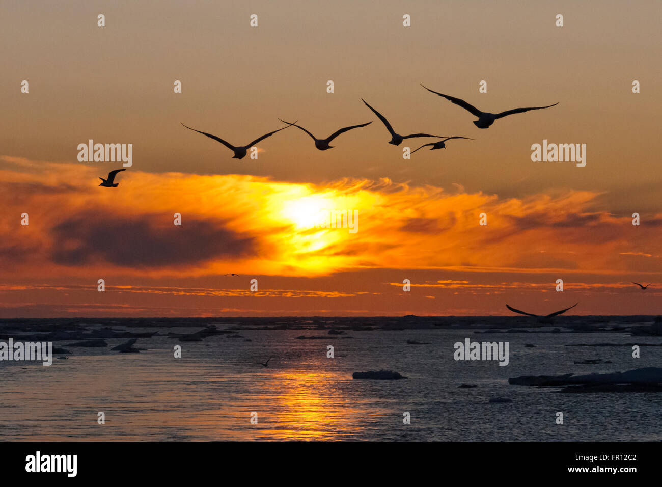 Sunset view Bering Sea, Russia Far East Stock Photo