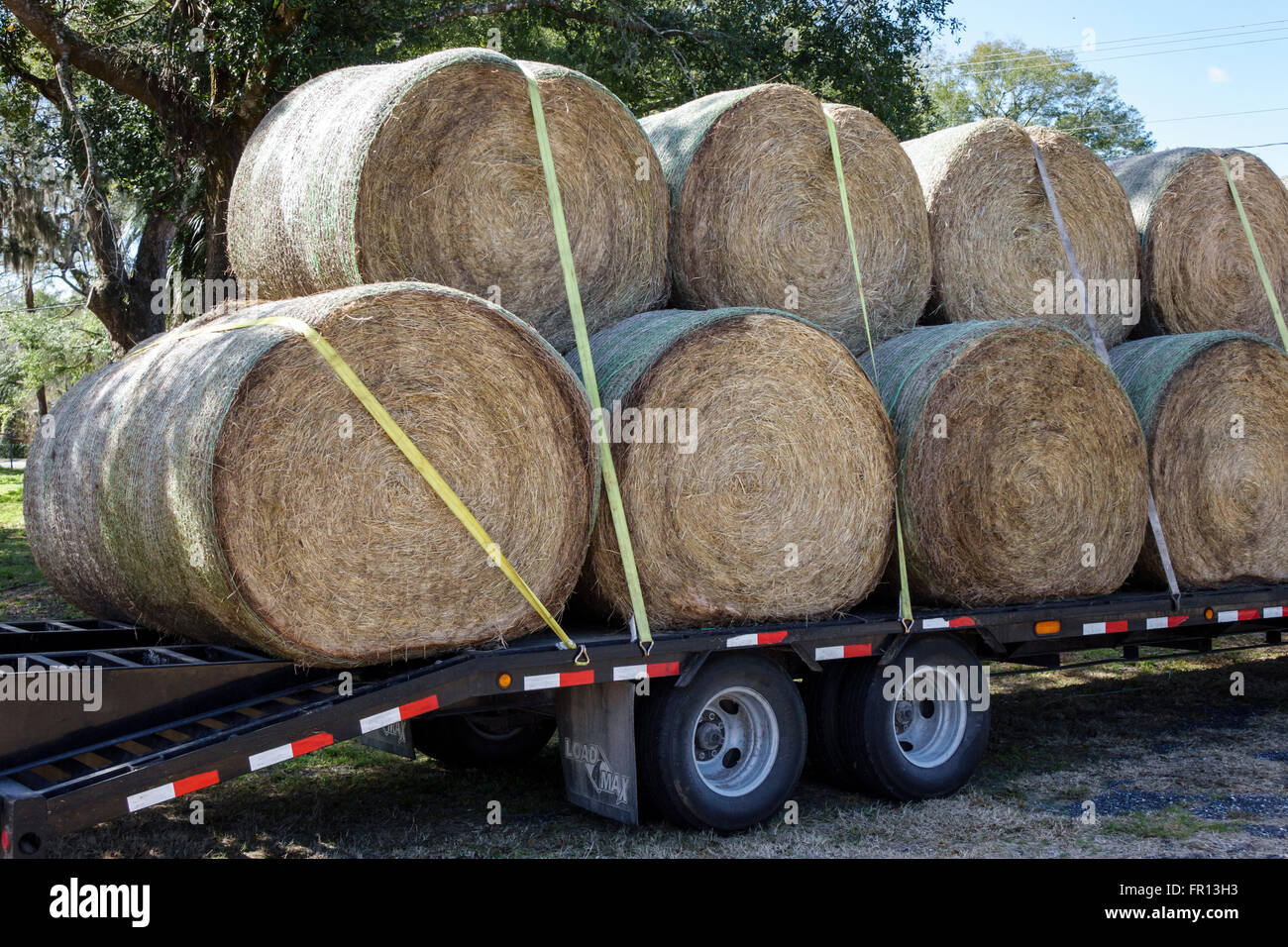 Florida San Antonio,hay,bales,rolls,tied down,truck trailer,flatbed