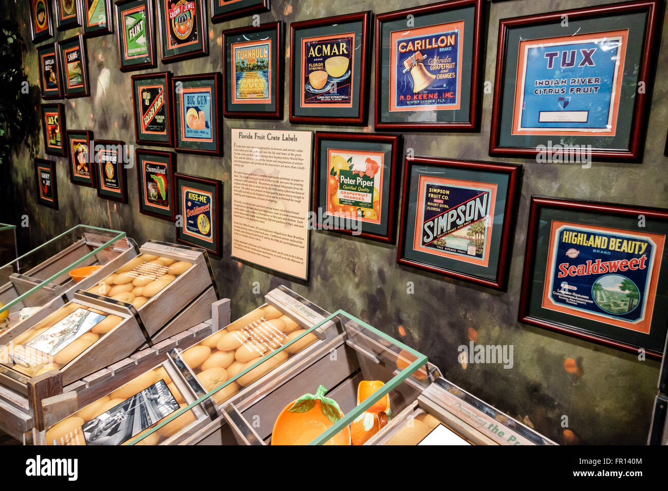 Orlando Florida,Orange County Regional History Center,centre,historic Orange County Courthouse,museum,exhibit exhibition collection citrus industry,fr Stock Photo