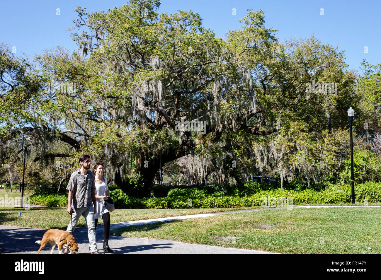 Florida,South,FL,Orlando,North Orange District,Loch Haven Park,adult