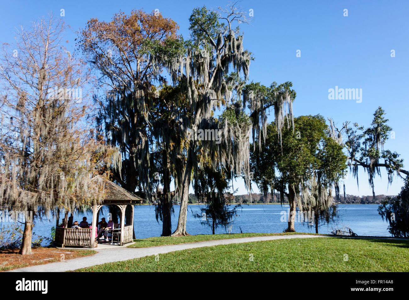 Orlando Florida,Winter Park,Rollins College,Lake Virginia,Spanish moss