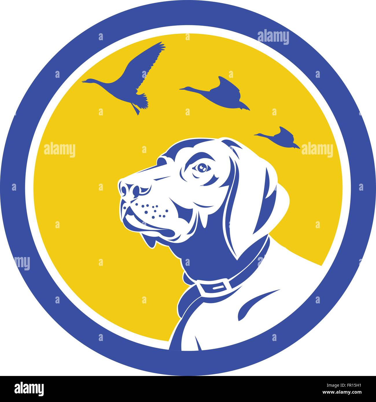 Illustration of a head of an english pointer dog looking up at flying geese viewed from the side set inside circle done in retro style. Stock Vector