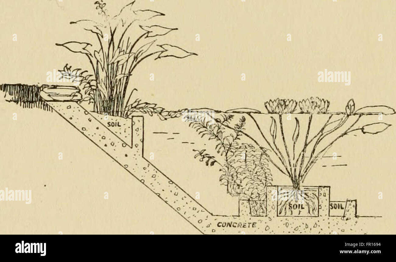 thumbnail image 2 of The Perfect Aquarium Book – Guide To Setting Up & Maintaining Your Fish Tank 2 of 6