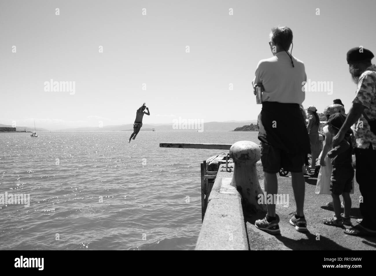 Swimmer diving off wooden plank at Wellington Harbour New Zealand Stock Photo