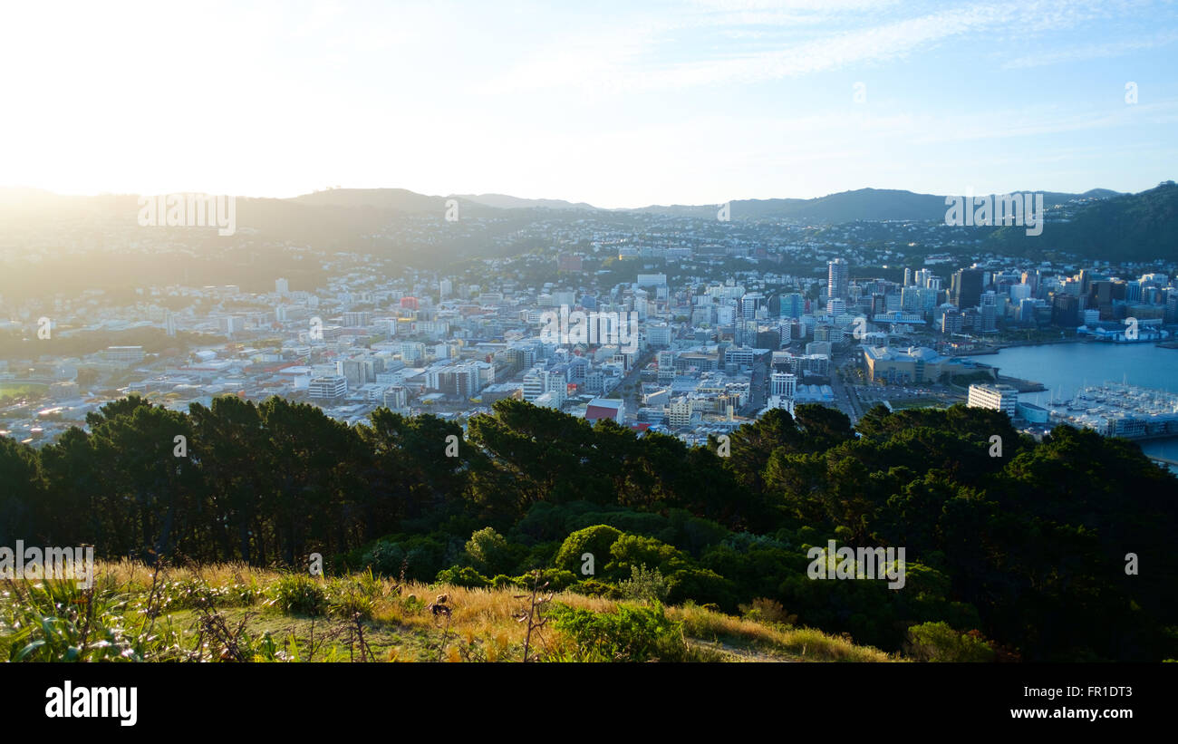 The bay at Wellington, New Zealand Stock Photo Alamy