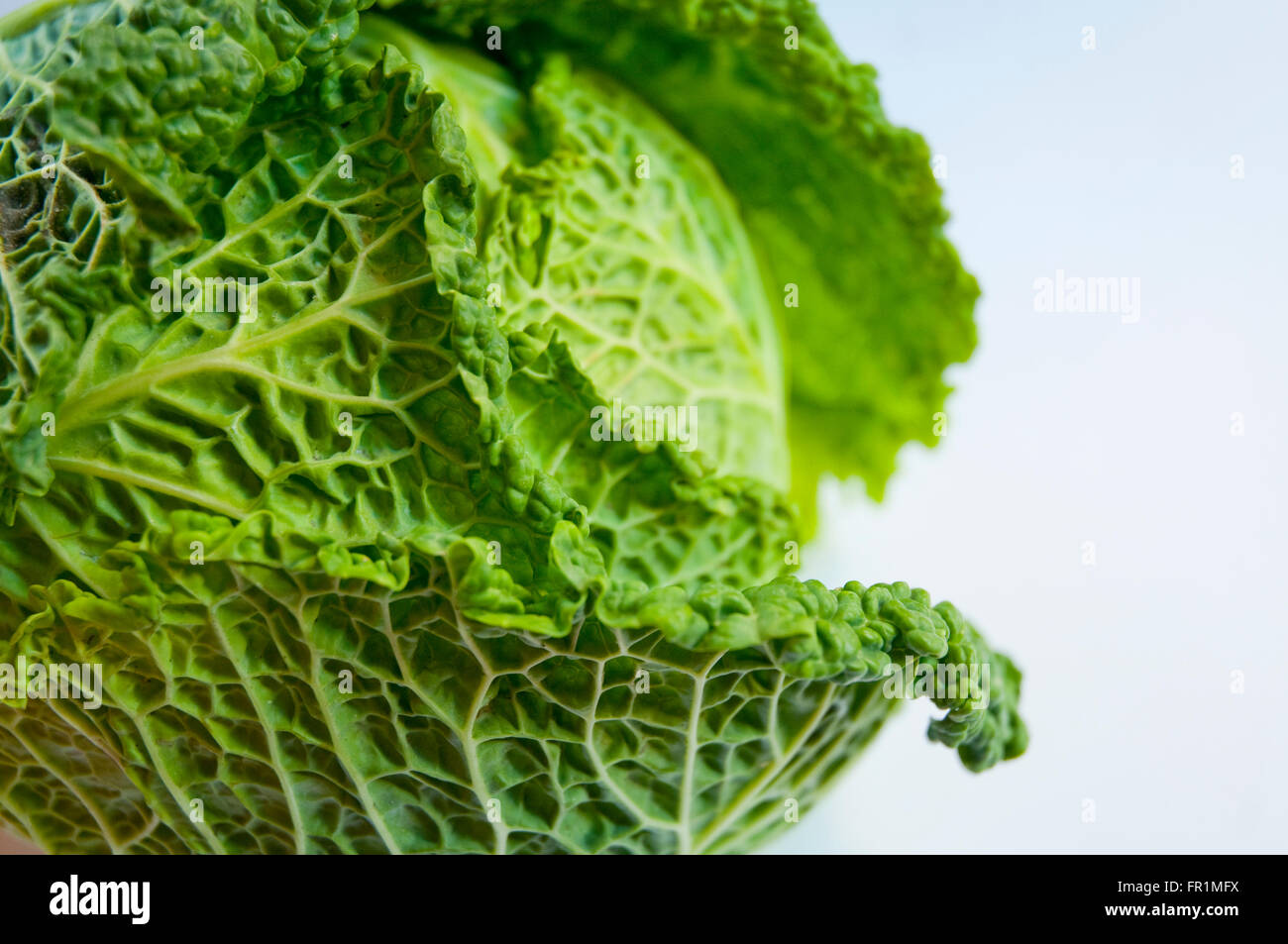Cabbage, close view. Stock Photo