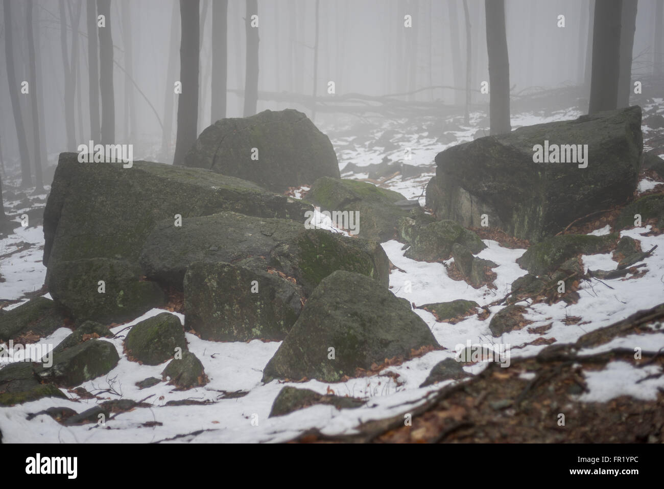 Rocks and the forest in the mist at thaw Sleza Mount Landscaped Park Stock Photo
