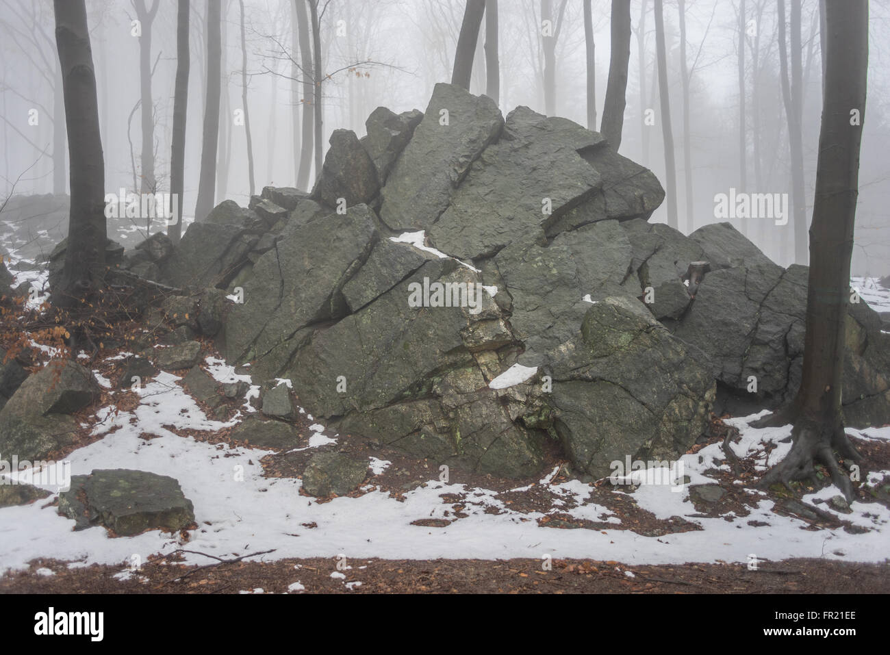 Rocks and the forest in the mist at thaw Sleza Mount Landscaped Park Stock Photo