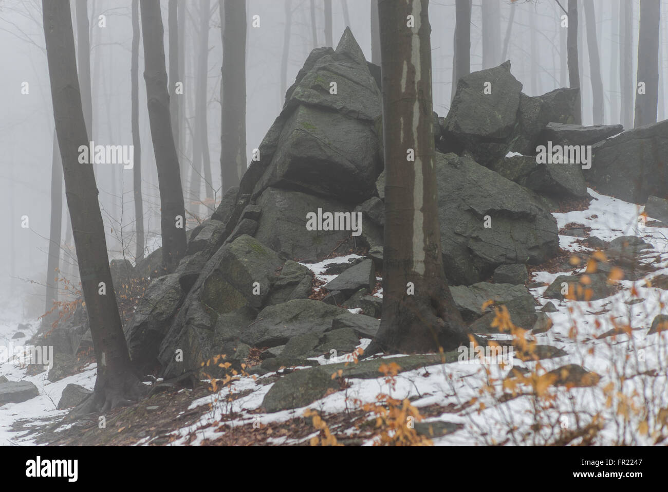 Rocks and forest in the mist at thaw Sleza Mount Landscaped Park Stock Photo