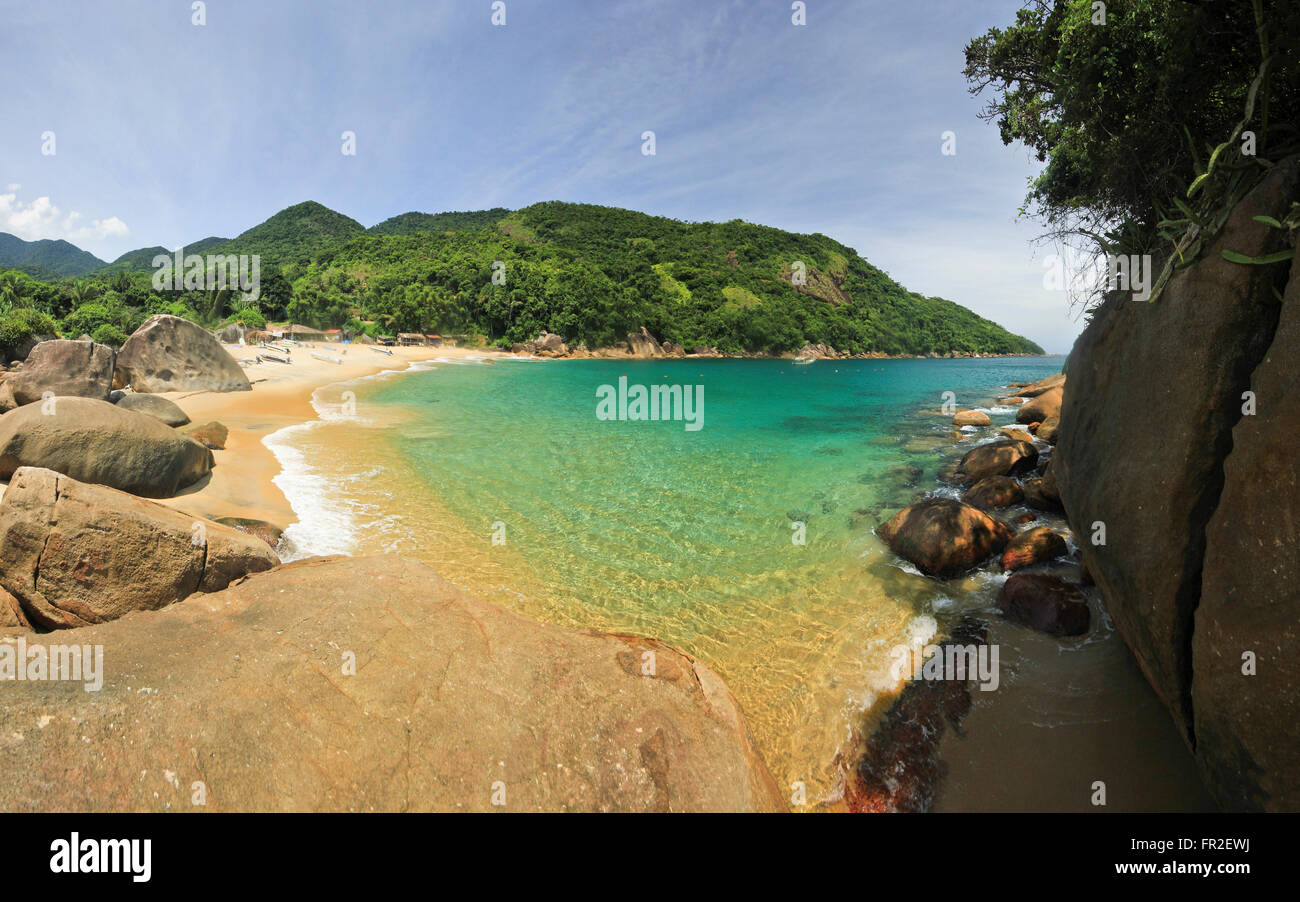 beautiful tropical beach with green water Stock Photo