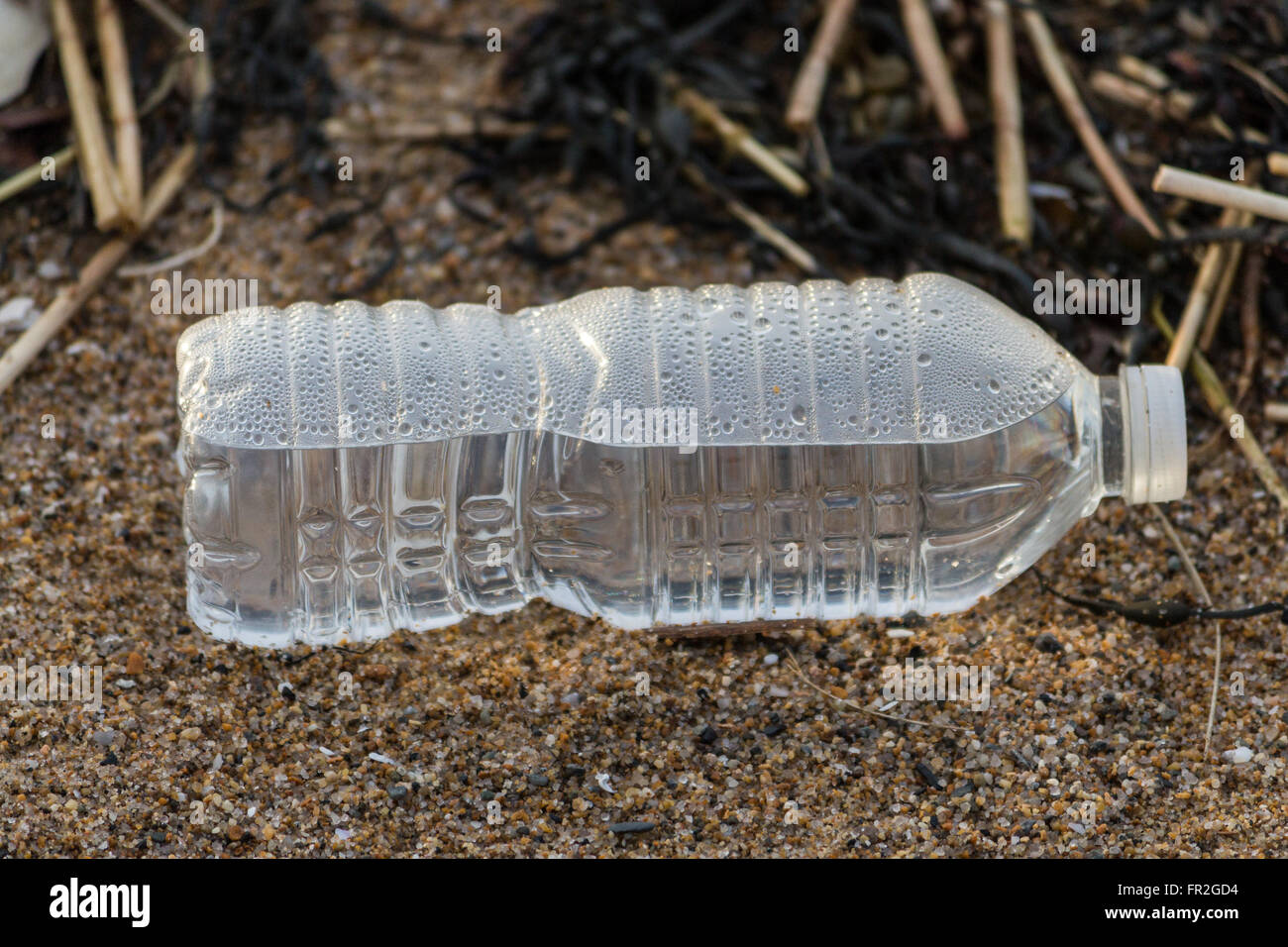 plastic watter bottle on beach Stock Photo