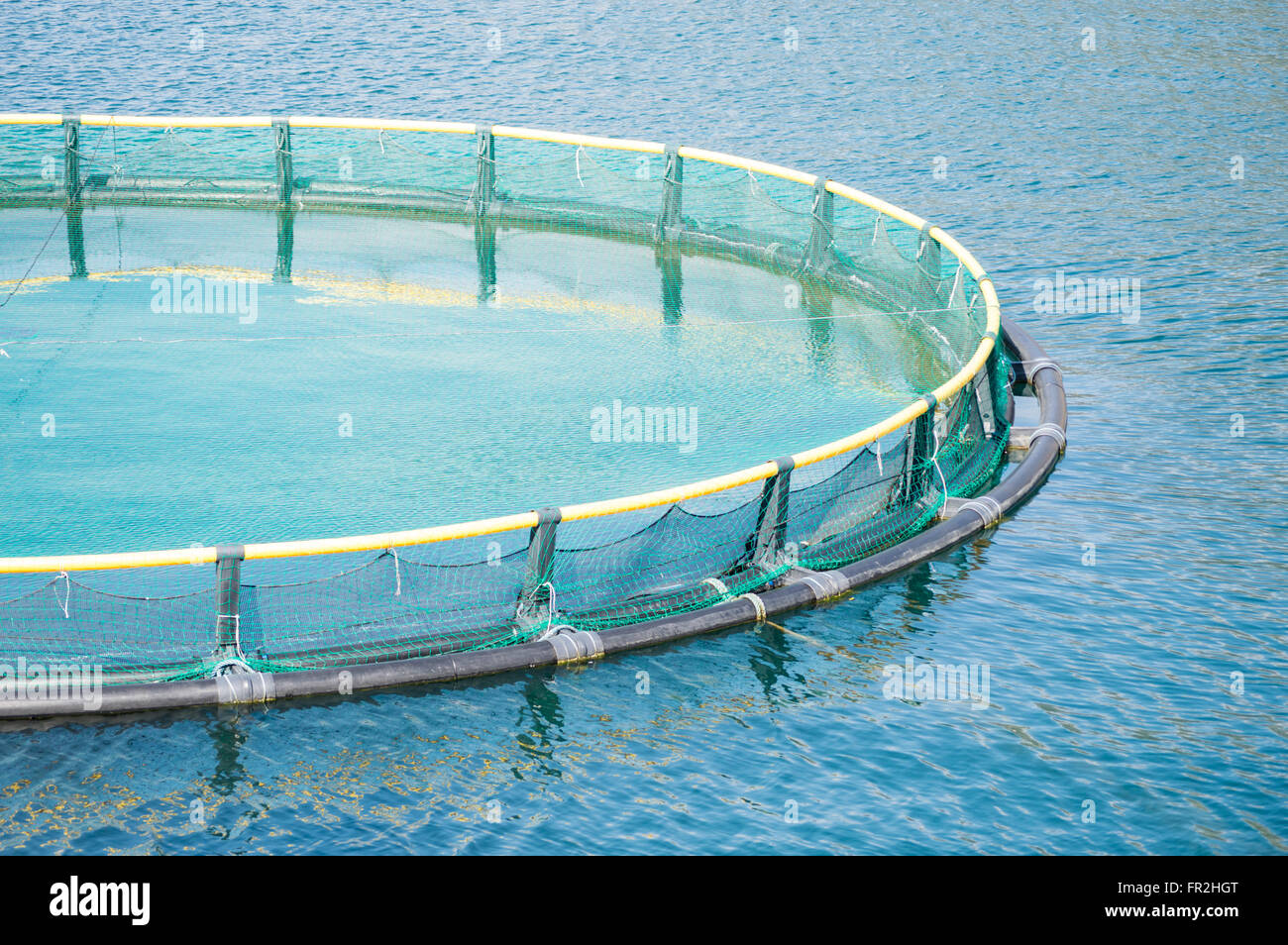 Cages for fish farming Stock Photo - Alamy