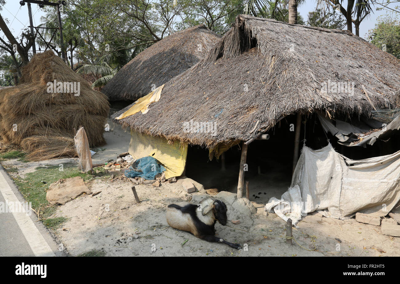 Bengali village Basanti, West Bengal, India. Stock Photo