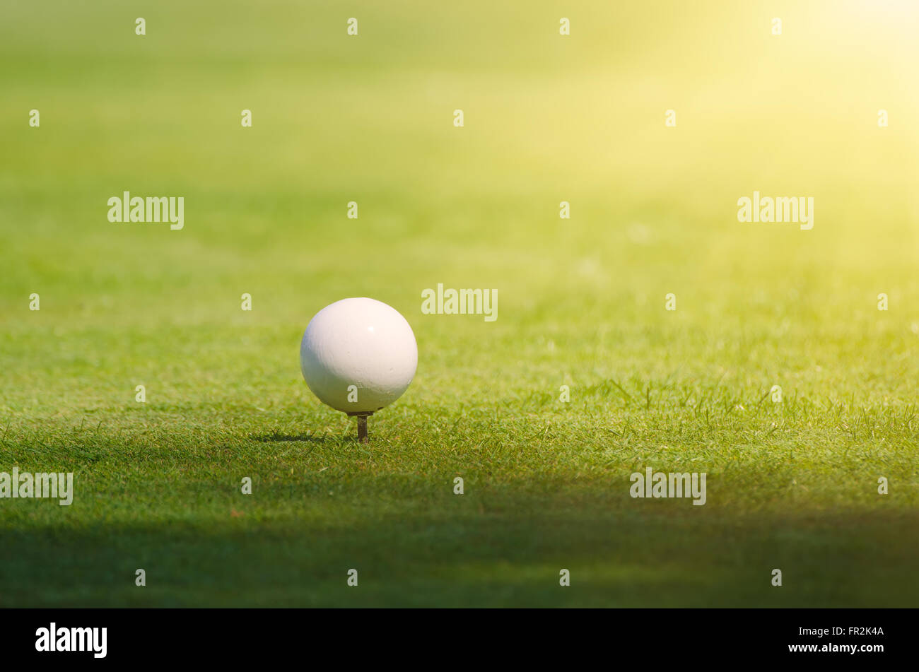 Golf ball on grass Stock Photo Alamy