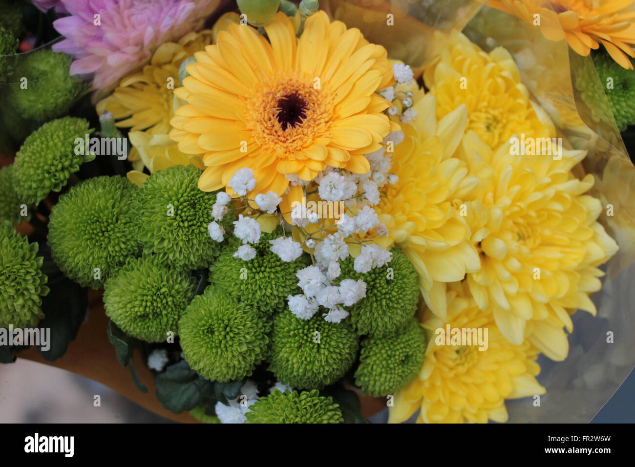 vibrant colorful flowers Stock Photo - Alamy
