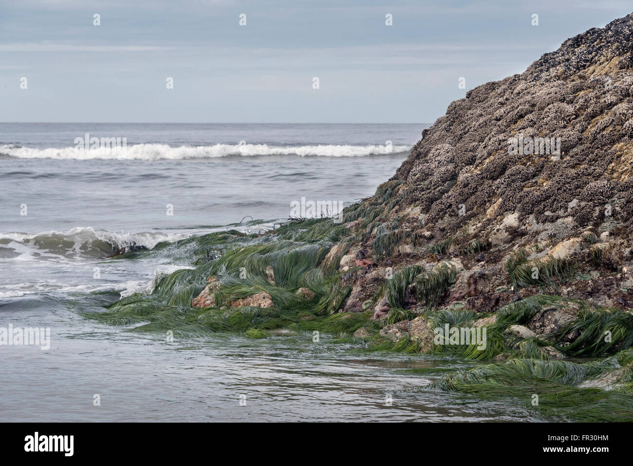 Off-shore rocks at low tide, Chesterman Beach, Tofino, British Columbia, Canada Stock Photo