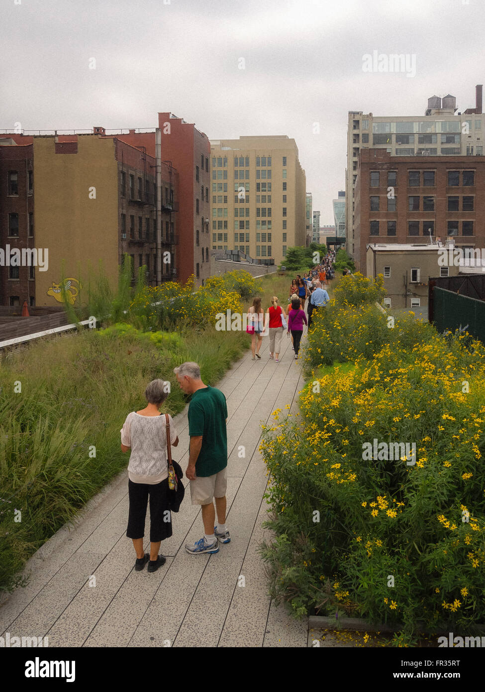 The High Line, New York City, USA. Stock Photo