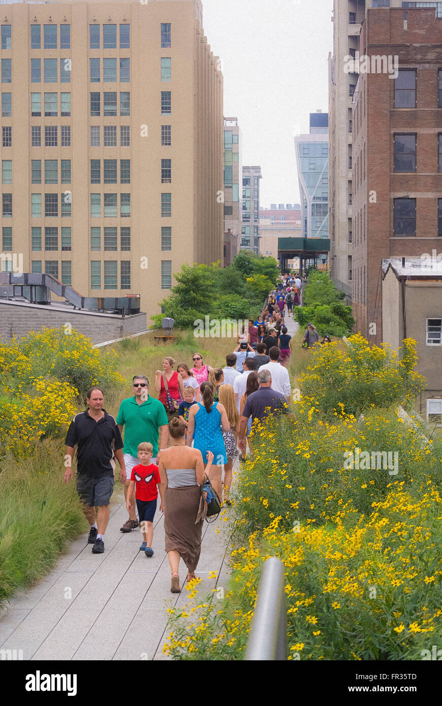 The High Line, New York City, USA. Stock Photo