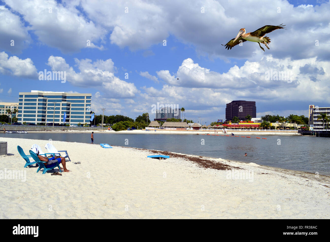 Tourists enjoying the beach on a sunny day with a pelican flying over Stock Photo