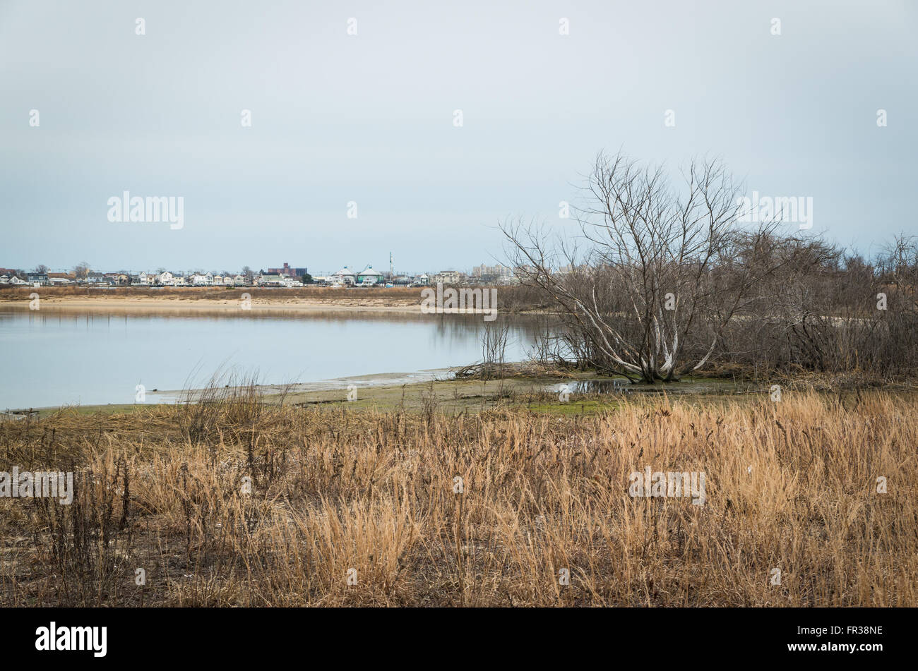 View across the West Pond at Jamaica Bay Wildlife Refuge towards Broad Channel, a waterside suburban town in Queens, New York Stock Photo