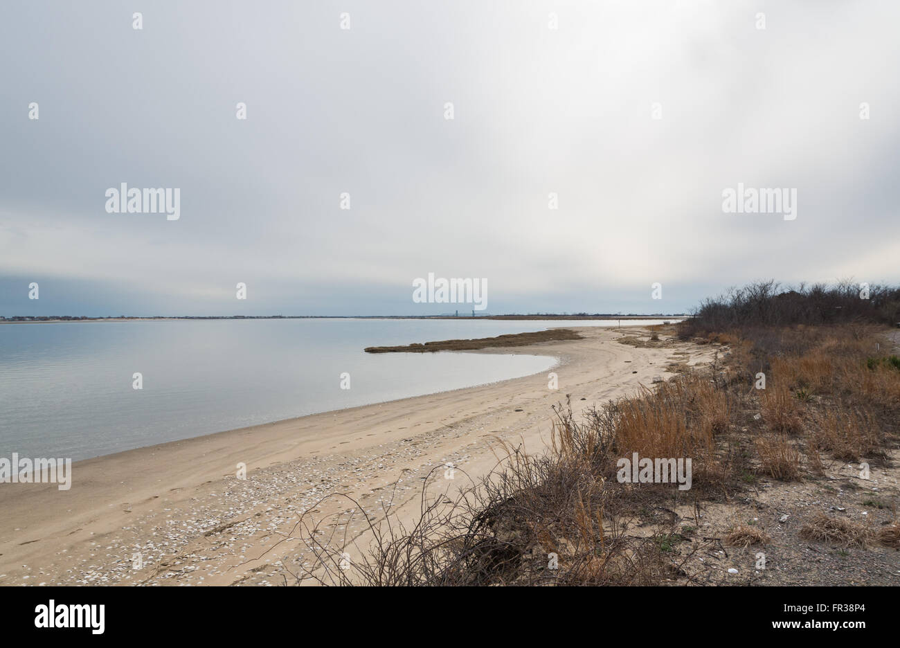 A natural beach in the bay at Jamaica Bay Wildlife Refuge in Queens