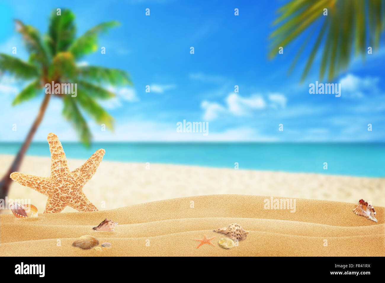 Starfish and shells on beach sand. Beach and sea with palm in ...