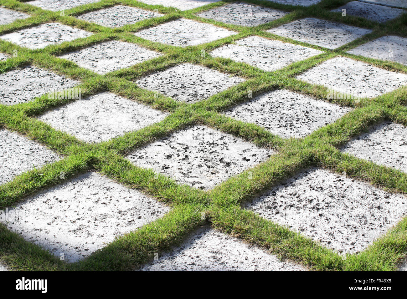 Lawn growing between concrete Stock Photo Alamy