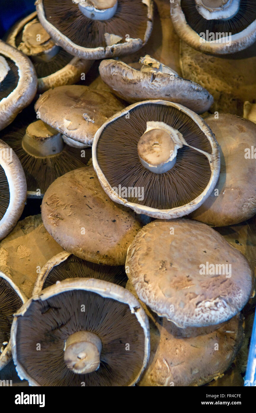 Allington Farm Shop,Chippenham,Wiltshire,UK. a box of mushrooms Stock Photo