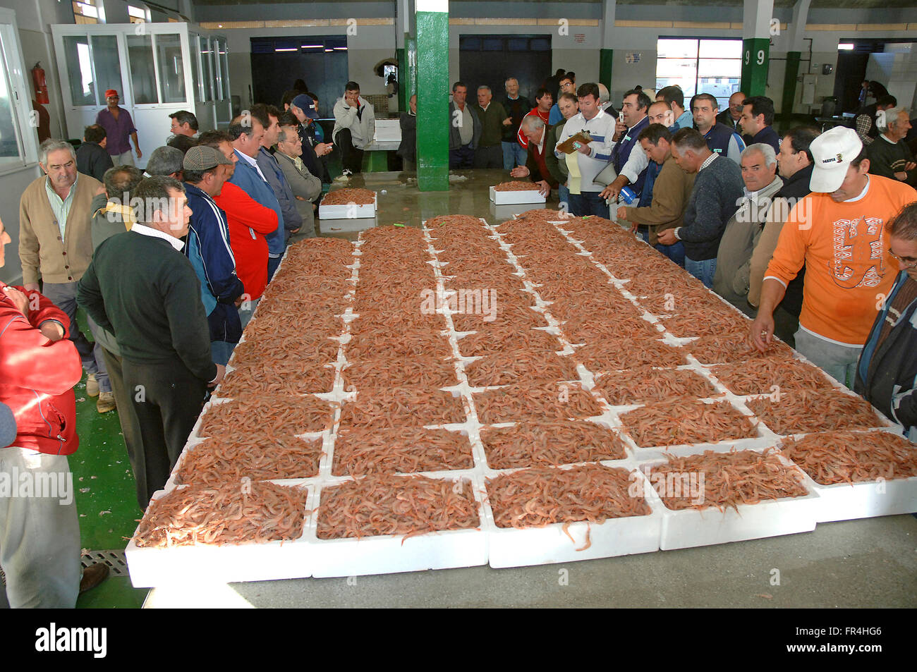 Fish auction market, prawns, Sanlucar de Barrameda, Cadiz province, Spain, Europe Stock Photo