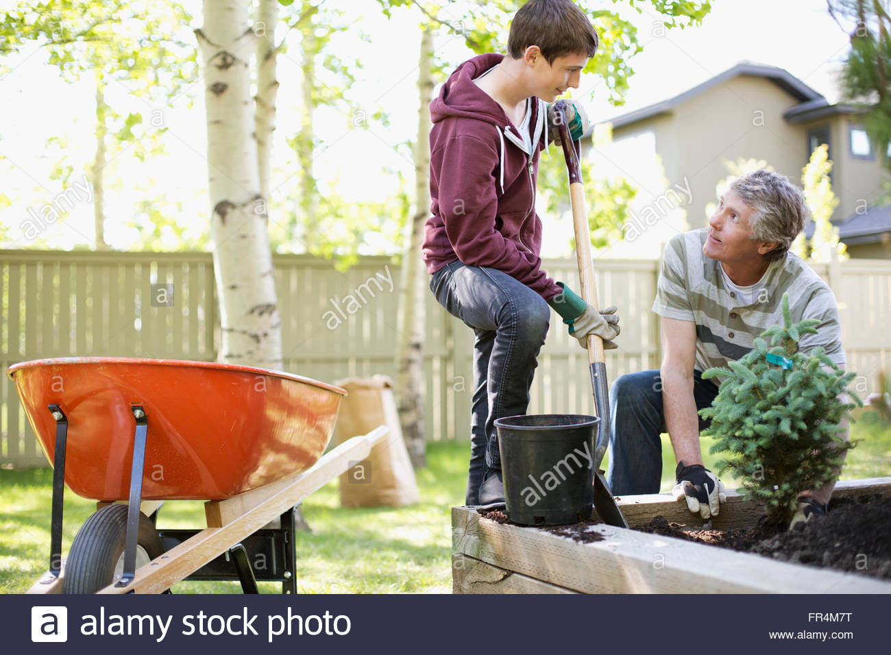 father and son planting a tree together Stock Photo