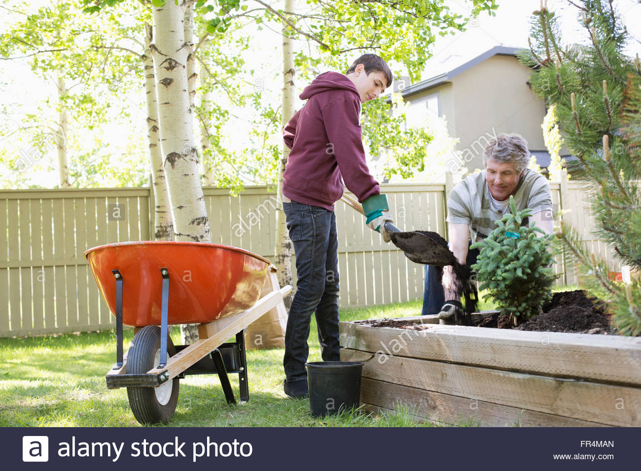 father-and-son-working-in-yard-together-stock-photo-alamy