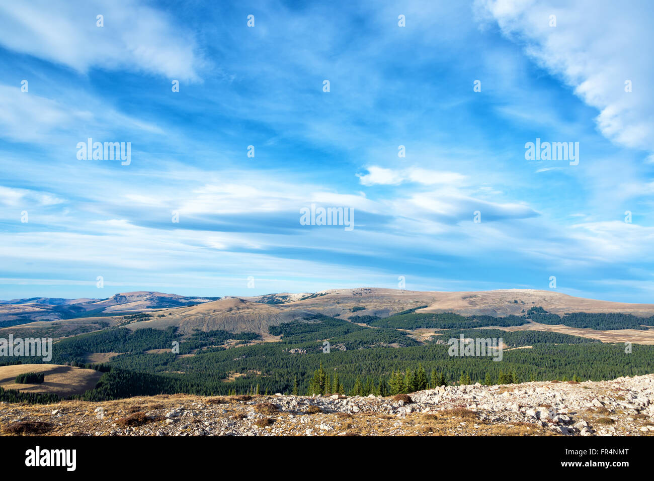Late afternoon landscape in the Bighorn Mountains near the Medicine Wheel Stock Photo