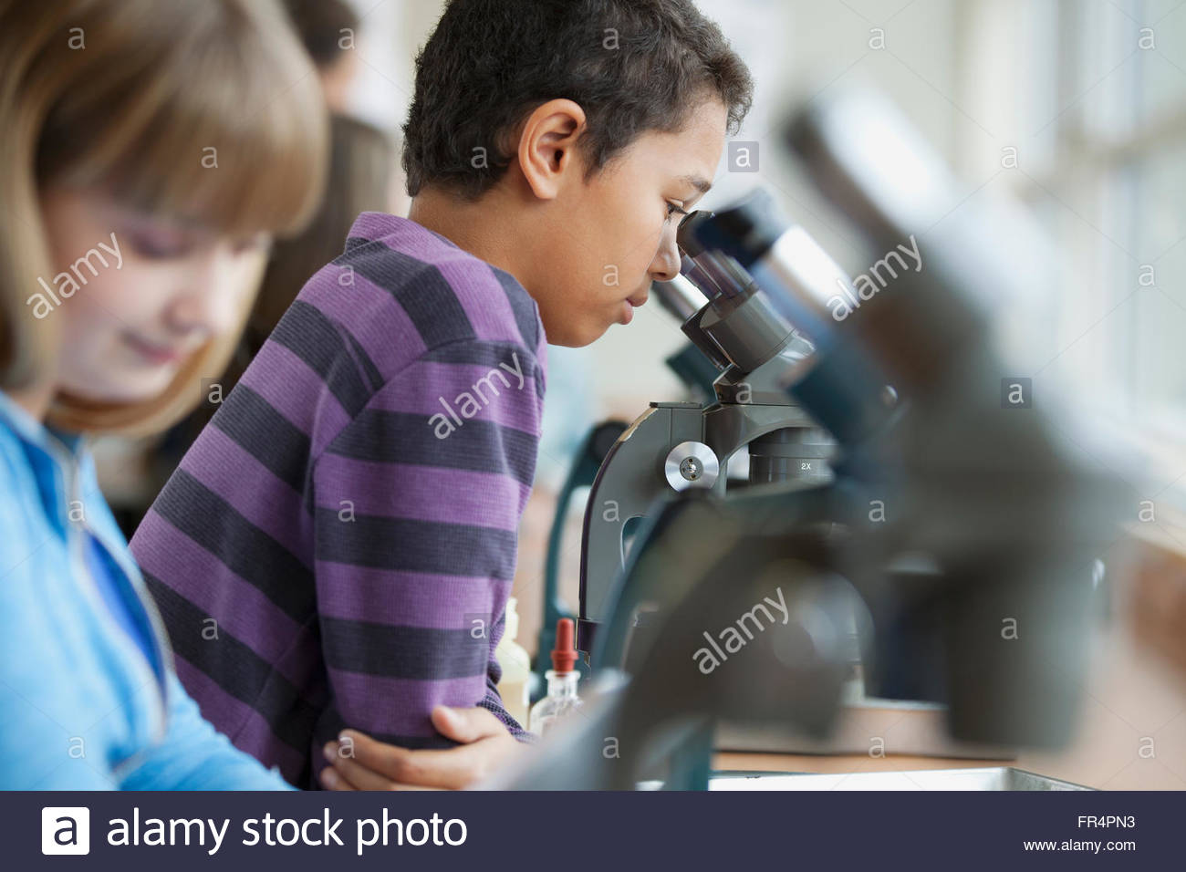 middle school students using microscopes Stock Photo Alamy