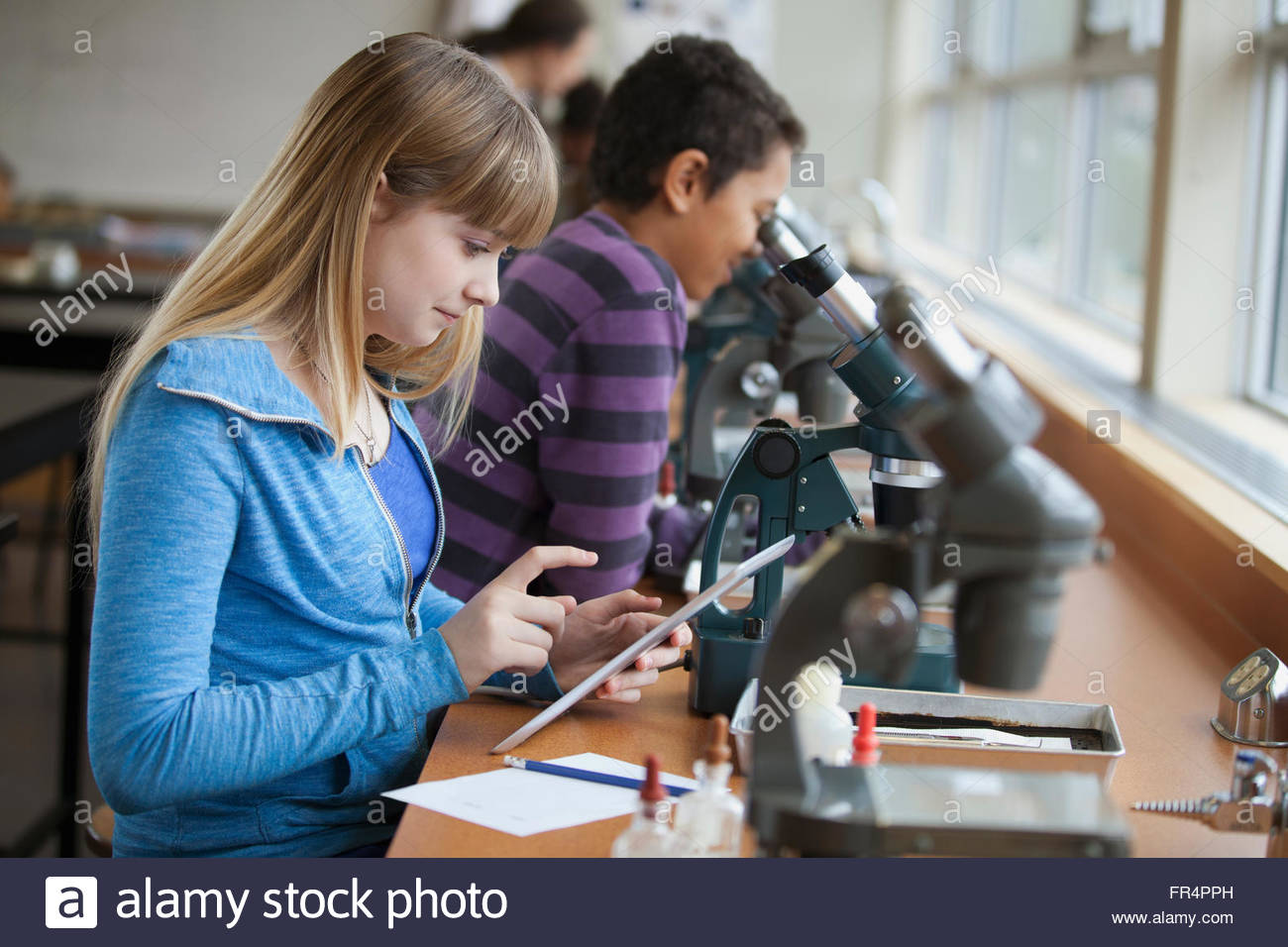 middle school students using microscopes Stock Photo Alamy