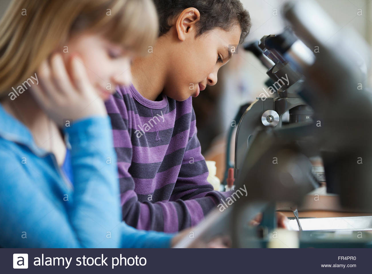 middle school students using microscopes Stock Photo Alamy