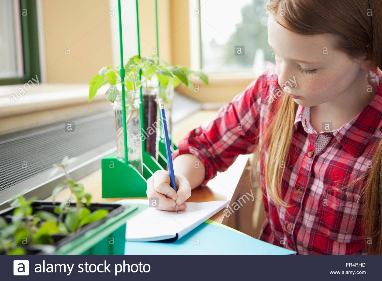 Measuring plants ruler hi-res stock photography and images - Alamy