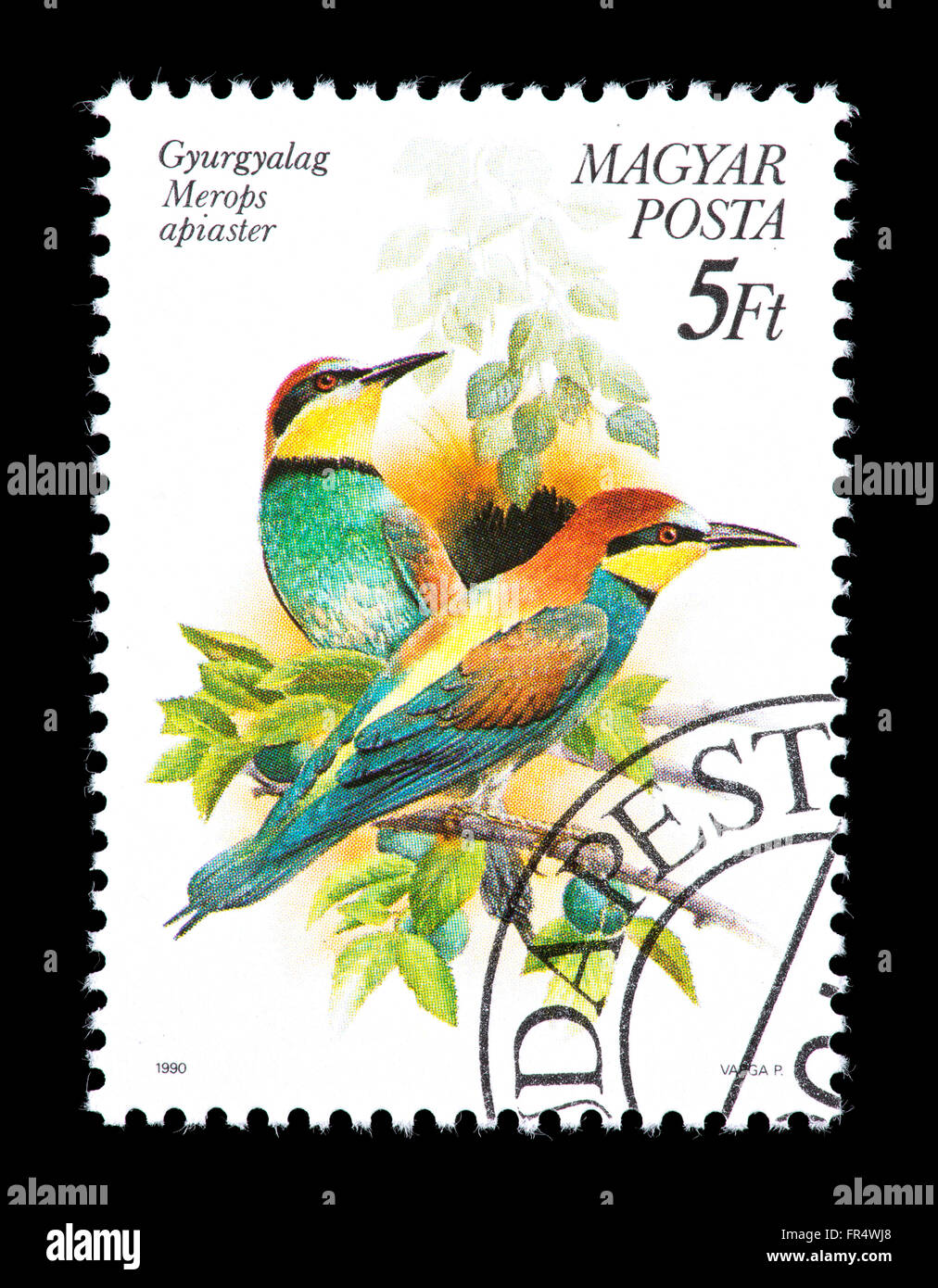 Postage stamp from Hungary depicting a European bee eater (Merops ...
