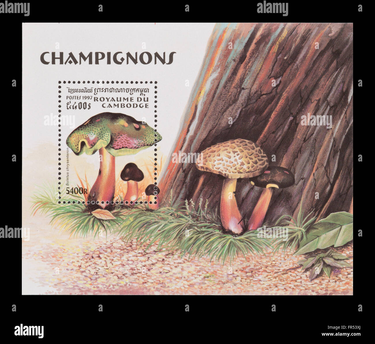Souvenir sheet from Cambodia depicting  bolete mushroom (Xerocomellus chrysenteron) (Boletus chrysenteron) Stock Photo