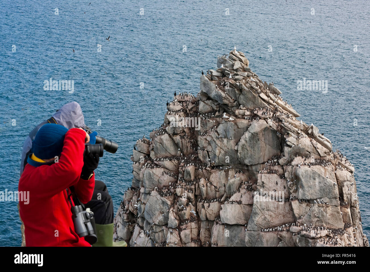 Tourist photographing birds on the cliff, Kolyuchin Island, Bering Sea, Russia Far East Stock Photo