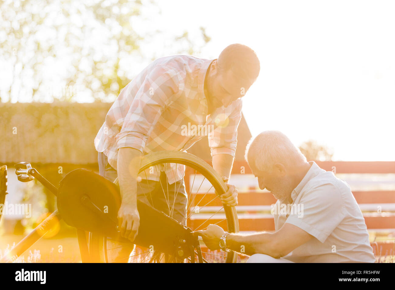 Father and adult son fixing bicycle Stock Photo