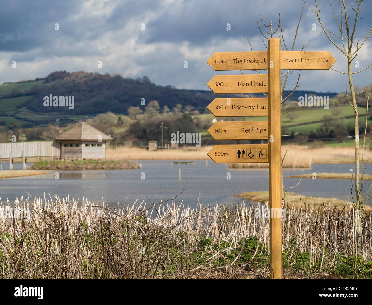 Seaton Wetlands Nature Reserve, East Devon, England, UK Stock Photo Alamy