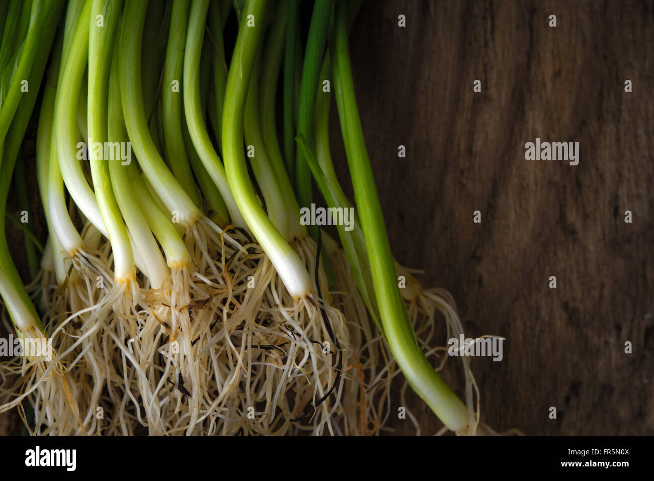 Green onion stalks and roots on a wooden table horizontal Stock Photo