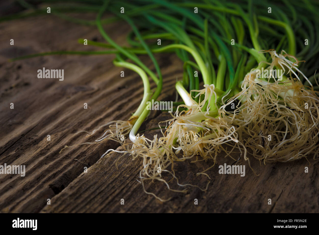 Green onion stalks and roots on old boards horizontal Stock Photo Alamy