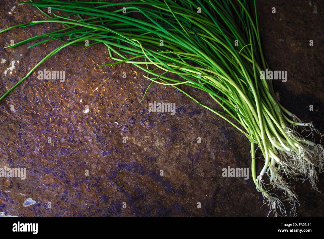Green onion stalks and roots on the stone table horizontal Stock Photo