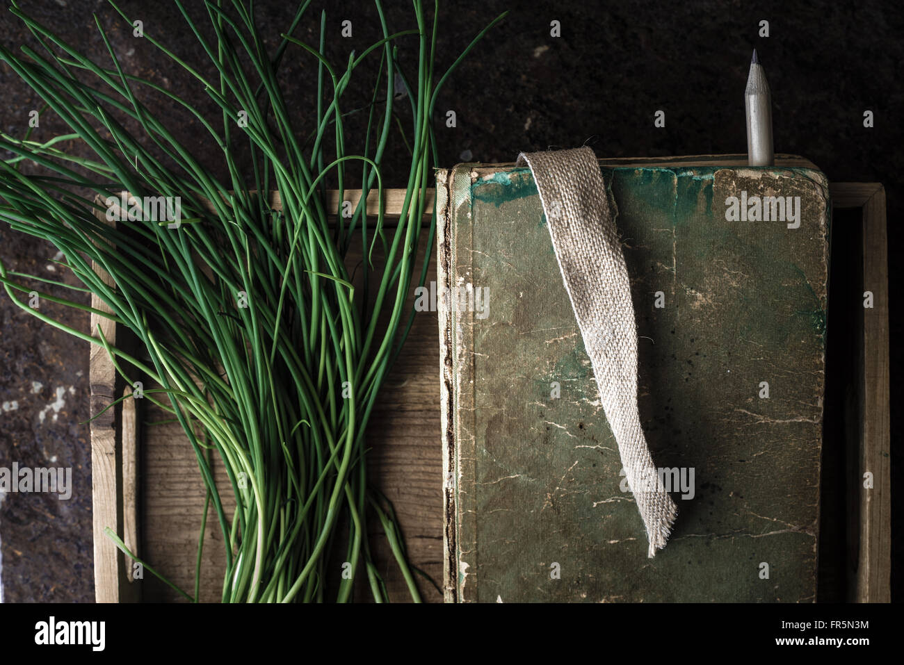 Green onion stalks and the book in a wooden box horizontal Stock Photo
