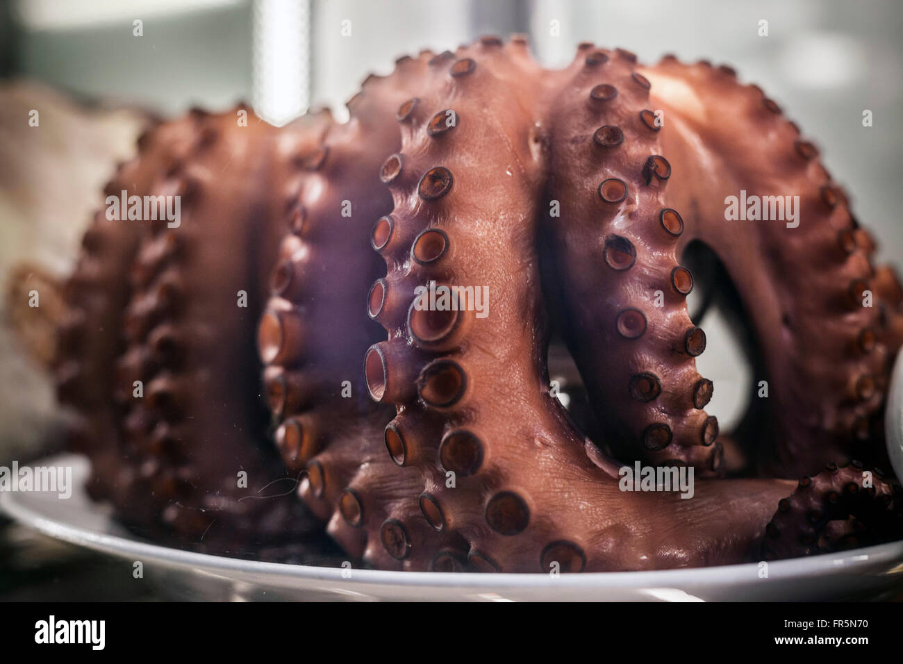 Restaurant display Pulpo-octopus.Santiago de Compostela. Stock Photo